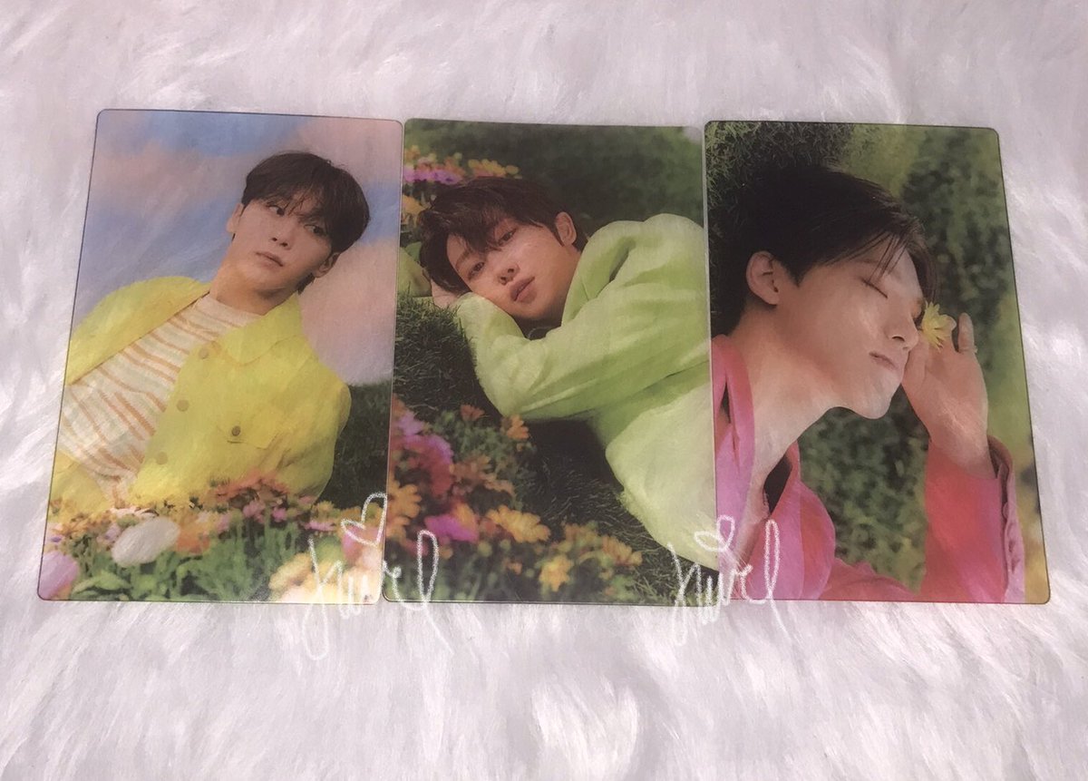 gyullects's tweet photo. ꒰ #gyullection .. 💌 ꒱
      ╰ from @diamondcartu ♡

these pcs arrived already! tysm for the smooth transaction. kinda sad lang po na some pcs have dent sa corners :< tysm din ate @heesmiles_ for hosting the hatian .ᐟ

⇢ #cee_proofs #cee_thanks https://t.co/GR26yJb9E9