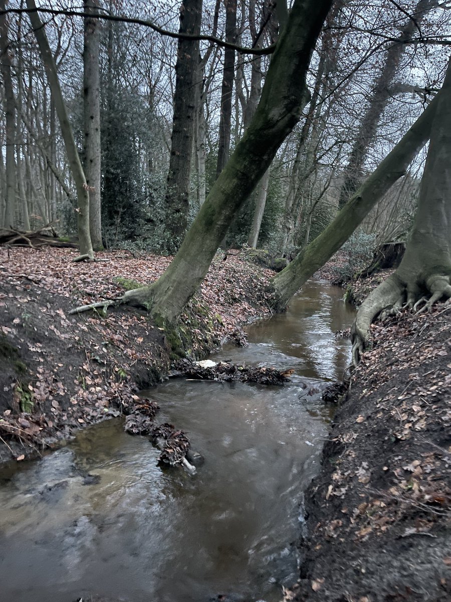 michaelsijbom's tweet photo. Twente op zijn mooist: een stromende beek. Dankzij maatregelen staat die minder droog. #Esbeek #HofEspelo https://t.co/hgPaxOBekk