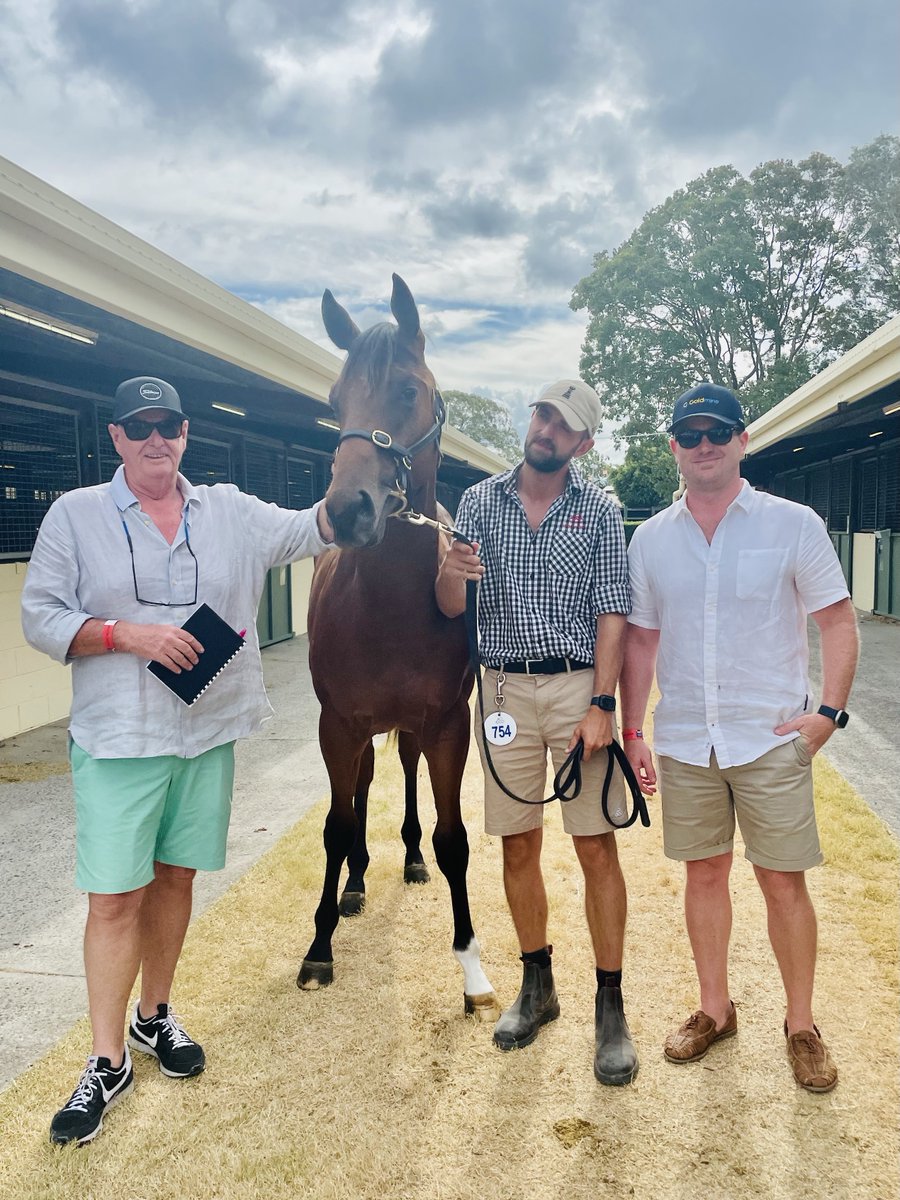 Been a busy few days up at @mmsnippets 🐎 We have just bought another with @GRyanRacing Lot 754 $400,000. The bromance continues...😎😉 #MMGC2023