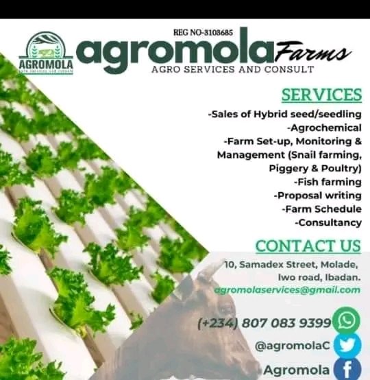 AgromolaC's tweet photo. We get you covered for any of your agricultural establishments. Just DM!
Please help retweet my client may be your followers. https://t.co/9pjXl6vDHa