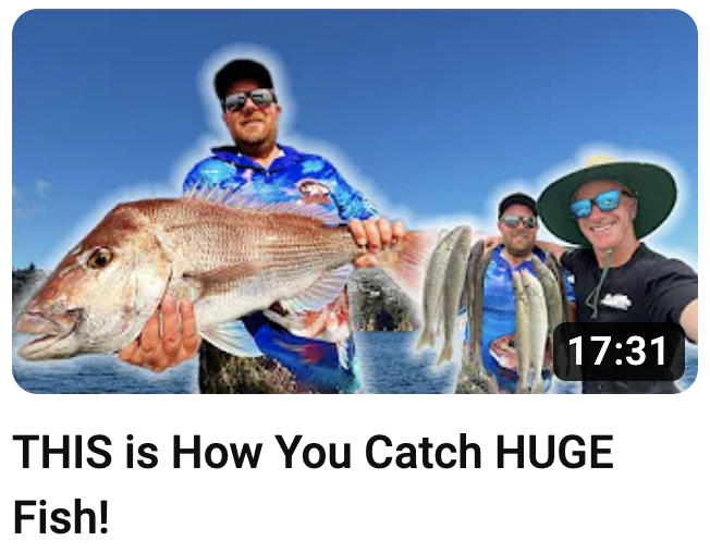 Tuition on Port Phillip Bay - Whiting &amp; Snapper  Fishing Masterclass! - mailchi.mp/reeltimefishin…