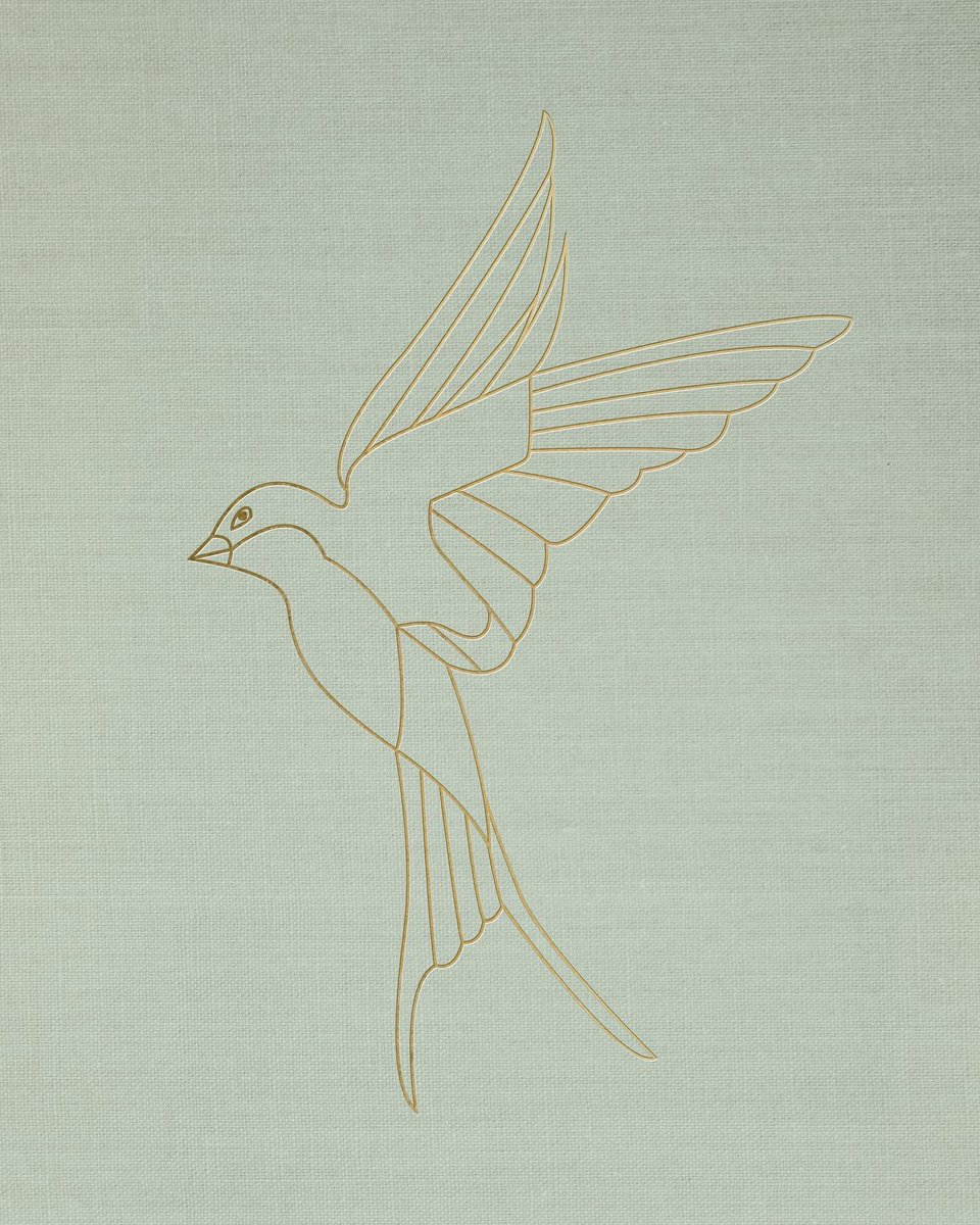 So excited to share with you all the amazing work that Jil Laura of TropiaArt has created for our redesign…