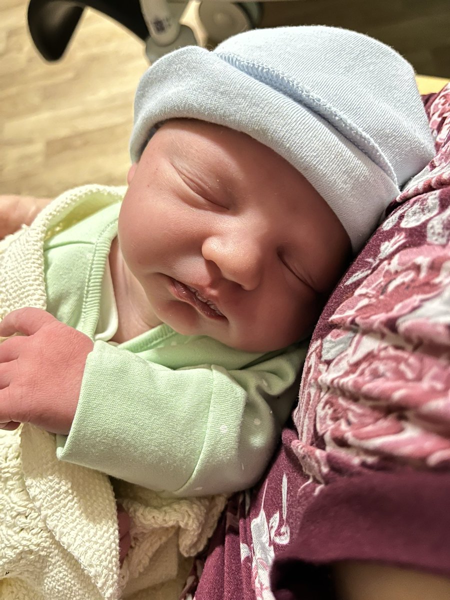 yukaa | otter vtuber 🌿🐾🦦 tweet media