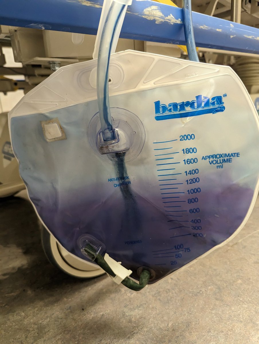 David A. Marcus, MD tweet media