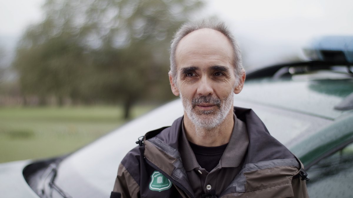 🐕‍🦺Un grup de gossos va matar 220 xais de <a href="/femramat/">El ramat de Mas Serrabou</a> a Osona. A les zones de pastura, els gossos han d'anar sempre lligats.

"És un tema d'instint. El gos pot tenir una sortida que els seus propietaris ni s'imaginen" <a href="/agentsruralscat/">Agents Rurals</a> 

📆📺Diumenge a les 22:05 "Animals i companyia"