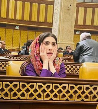 Rehman0o's tweet photo. حنا بٹ Ex بوائے فرینڈ کا سنا تھا لیکن پہلے دفعہ ex MPA سنا 🤭 @hinaparvezbutt https://t.co/athlFVjThV