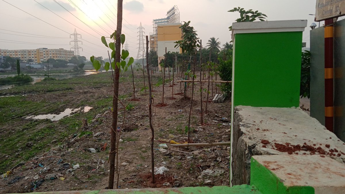 Hassi (@haseenksa) on Twitter photo <a href="/Arappor/">Arappor Iyakkam</a> <a href="/pmoorthy21/">பி மூர்த்தி</a> அதிமுக ஆட்சியில் கூவதையே ஆக்கிரமித்து கட்டப்பட்டுள்ளது இந்த கல்லூரி. எந்த ஆட்சி வந்தாலும் இதை அகற்ற மாட்டார்கள். MGR University கீழ் இயங்கும் தாய் மூகாம்பிகை பாலிடெக்னிக். Thai Moogambigai Polytechnic College
044 4554 8359
maps.app.goo.gl/ufihPCeihRxR4q… <a href="/Arappor/">Arappor Iyakkam</a> <a href="/pmoorthy21/">பி மூர்த்தி</a> அதிமுக ஆட்சியில் கூவதையே ஆக்கிரமித்து கட்டப்பட்டுள்ளது இந்த கல்லூரி. எந்த ஆட்சி வந்தாலும் இதை அகற்ற மாட்டார்கள். MGR University கீழ் இயங்கும் தாய் மூகாம்பிகை பாலிடெக்னிக். Thai Moogambigai Polytechnic College
044 4554 8359
maps.app.goo.gl/ufihPCeihRxR4q…
