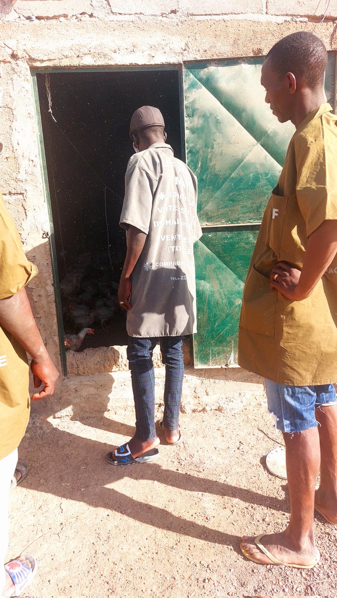 Sib7670's tweet photo. La ferme de Nmaf :
Nous vous offrons tout produit avicole, contactez nous et la livraison est assurée.
Je remercie le personnel jeune, bravo les gars et bonne continuation.
Tel: 76 70 01 06
#Nmaf
#1A1EA https://t.co/tA5CkKmnhv