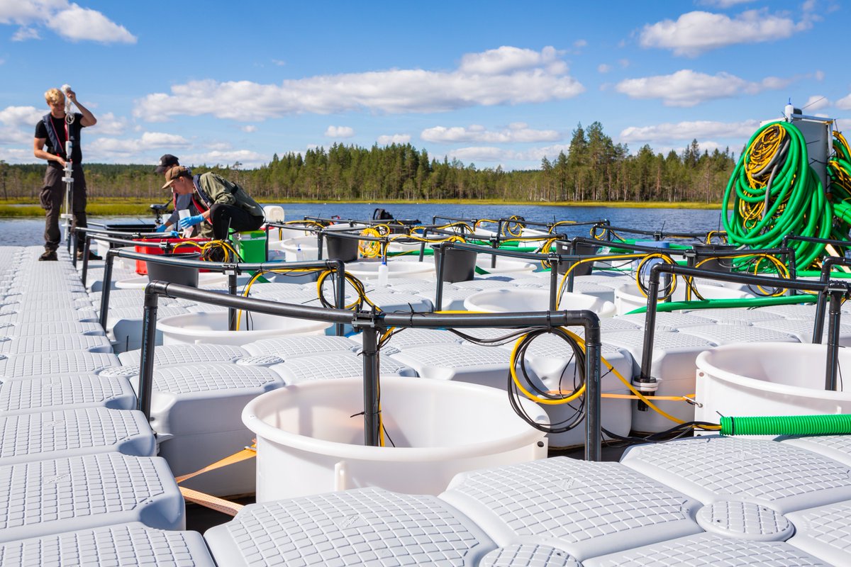Join <a href="/SITESAquaNet/">SITES AquaNet</a> mesocosm experiment on consequences of salinity disturbances on plankton communities in summer 2023 via transnational access though <a href="/aquacosm/">AQUACOSM</a>-plus. Apply by Feb 28, 2023. 
More info on TA access and the experiment here: fieldsites.se/.../sites-aqua…...