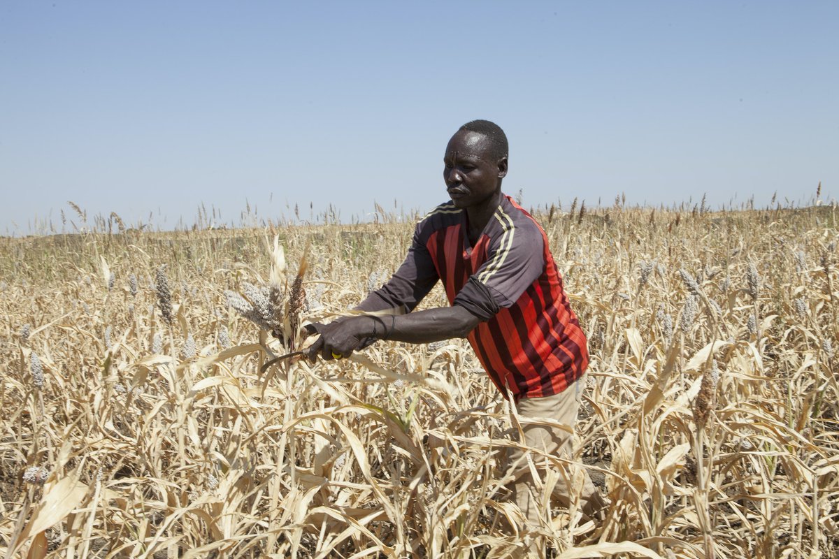 IFAD's tweet photo. No country is immune to the impacts of #ClimateChange. But rural communities in low-income countries are being pushed beyond their ability to cope.

Climate finance should reach the people who need it most! https://t.co/pUSIlmrzt9