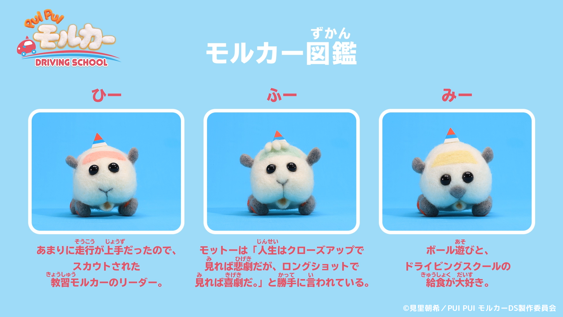 公式 PUI PUIモルカー図鑑 smaasbsolo.sch.id