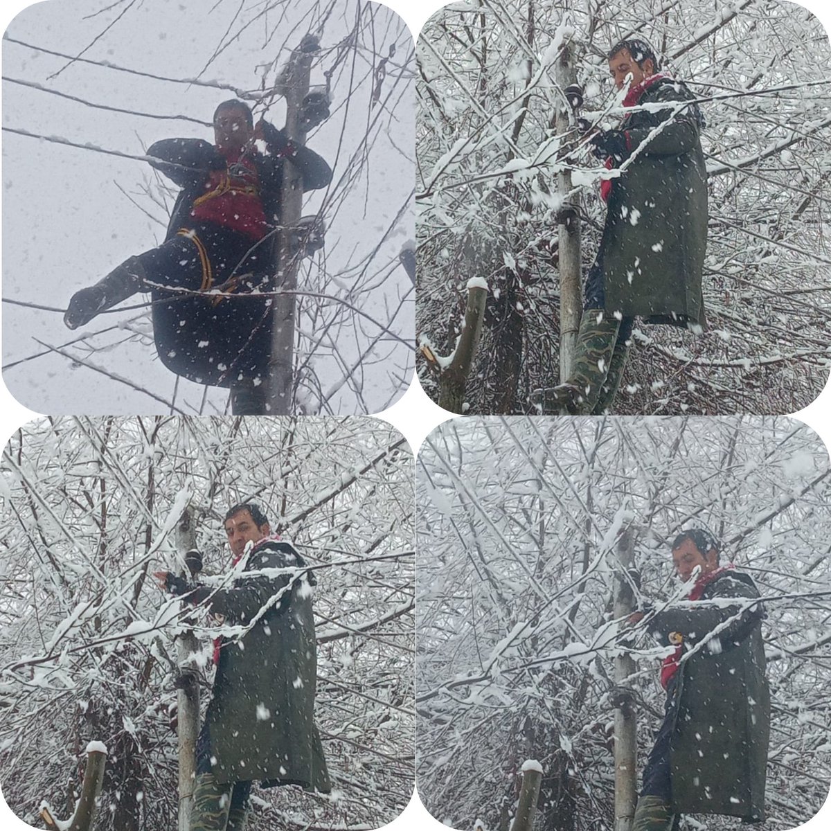 BHAT RAYEES tweet media