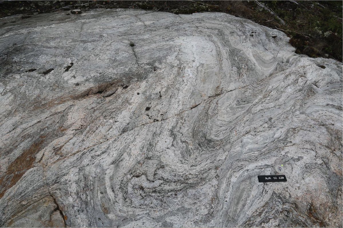 The #FridayFeeling is excellent🤩today when I can present today's #FridayFold &amp; #FridayFieldPhoto 2/2023 illustrating the migmatitic rock in Olkiluoto SW 🇫🇮!
The paper is now out with proper DOI number!
Find it here👇!  
doi.org/10.17741/bgsf/…
#chapeu #geologyrocks #GeologyPage