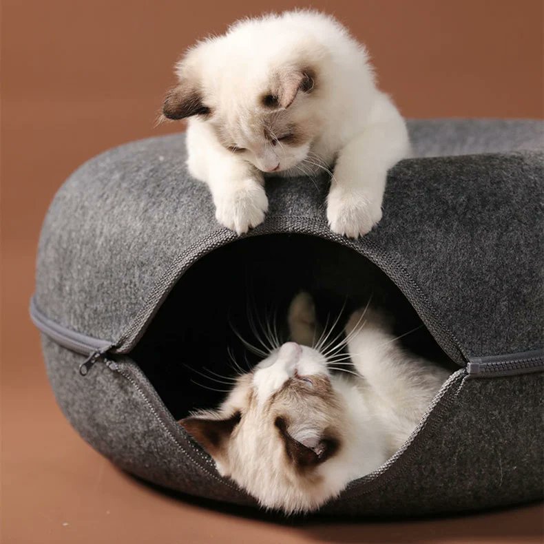 swancook2's tweet photo. Round &amp; Round Cat Tunnel Bed
#pets #cats #animals #puppies #kittens #petbeds #petlovers 

Pet store... https://t.co/0Z0eUQjDGj https://t.co/toRVoMwPFo