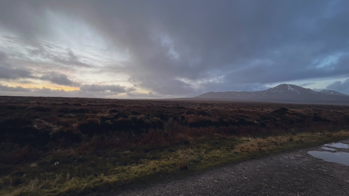 Arguably less dramatic sunrise this morning, but at least I remembered the laptop!