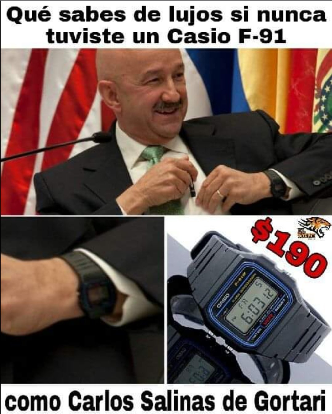 Salinas de gortari casio sale