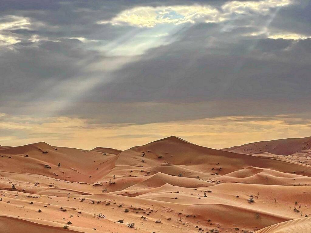 First trip to the red sands of #shaybah and the #emptyquarter #jimny just barely made it. #suzukijimny ⁣
.⁣
.⁣
.⁣
.⁣
.⁣
#desert #desertbeauty #desertlandscape #desertlife #desertliving #desertvibes #hiking #jordan #joshuatree #landscapelovers #la… instagr.am/p/CnWxcRwoIfE/