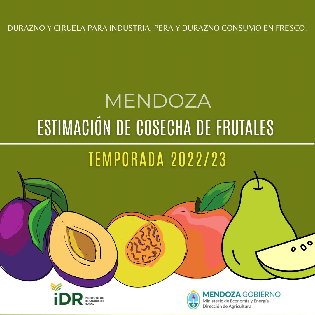 ESTIMACION DE COSECHA DE FRUTALES. TEMPORADA 2022/23
Como todos los años, el IDR realizó la estimación de cosecha de los principales frutales de la provincia de Mendoza: durazno para industria, durazno para consumo en fresco, ciruela para industria y pera: idr.org.ar/estimacion-de-…