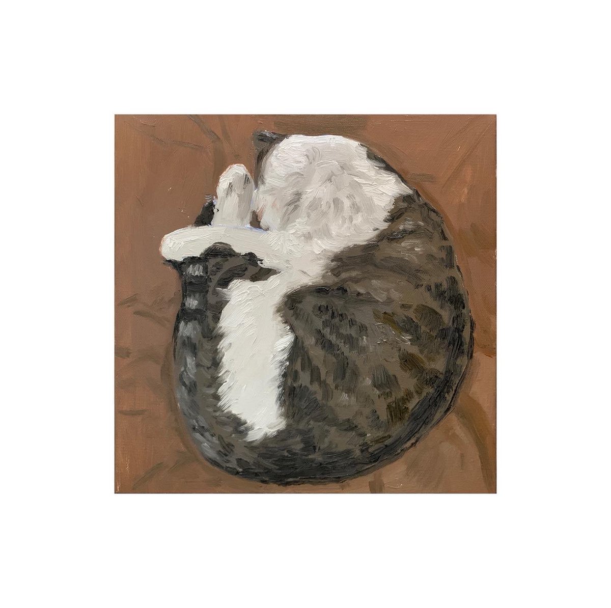 新疆买买提大仙 tweet media