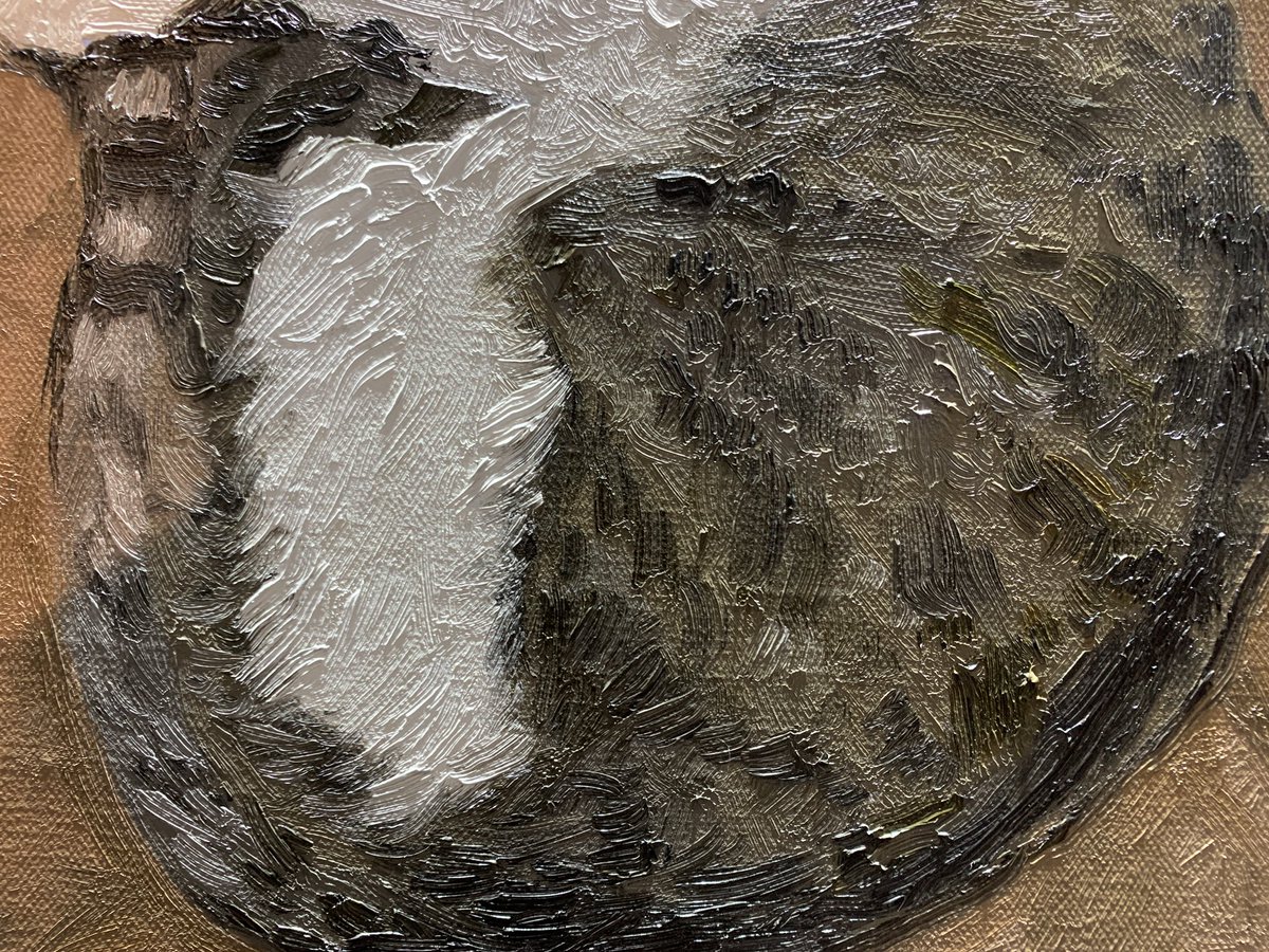 新疆买买提大仙 tweet media