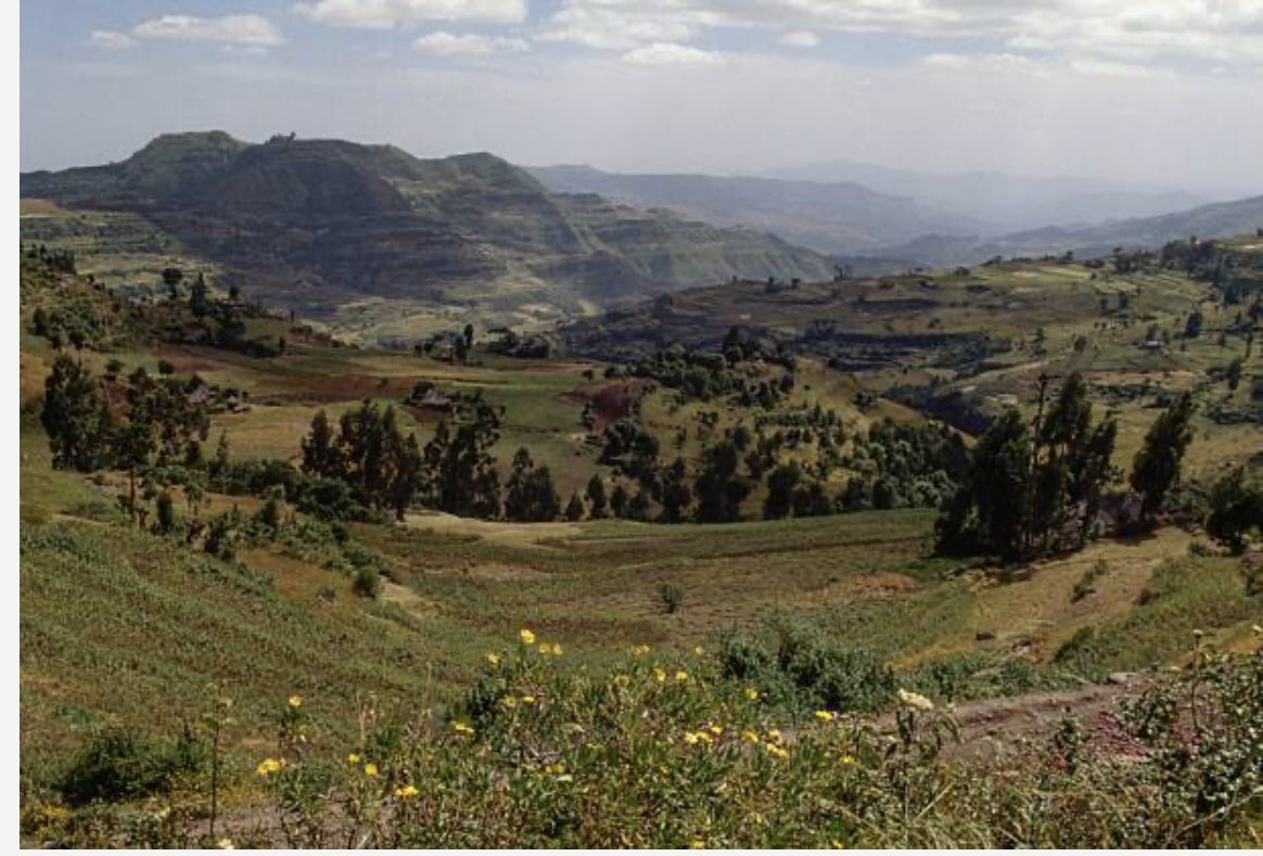 DestaAmora2648's tweet photo. Ankober, North Shewa, Amhara Region.

#VisitAmhara https://t.co/PYw2FLfEoD