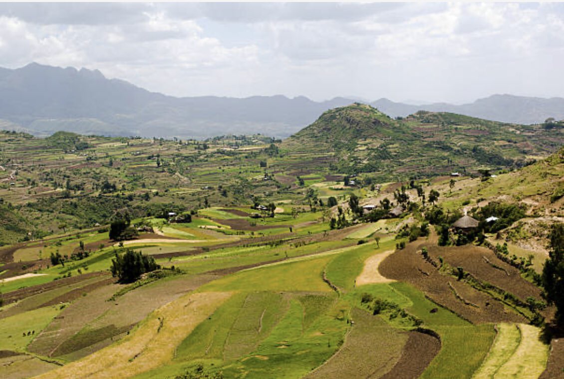 DestaAmora2648's tweet photo. Ankober, North Shewa, Amhara Region.

#VisitAmhara https://t.co/PYw2FLfEoD