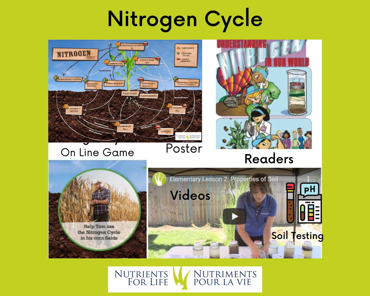 N4LCanada's tweet photo. Planning nitrogen cycle revisions for end of school term? Check out our readers (review puzzles included), online nitrogen cycle games, and videos. Have them apply their knowledge to problem-solve given scenarios. https://t.co/9OjR6ammoJ #nutrientcycles  #soilscience https://t.co/AVAuXO3DN0