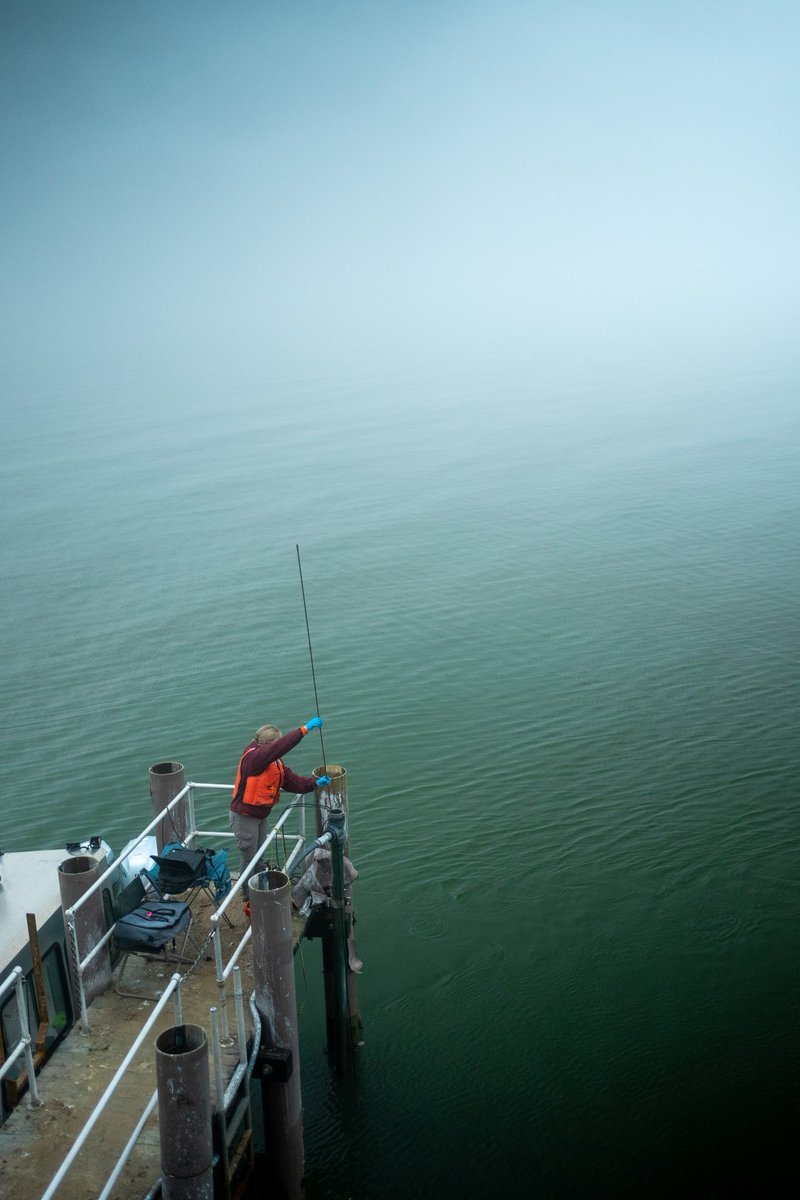USGS_MD_DE_DC's tweet photo. From the remote lighthouse Ship John Shoal, it's #FieldPhotoFriday!
Our USGS crew traveled 7 miles from the Delaware coast by boat to service our gage and instruments at the site. This site is important for studying salinity in the DE Bay. https://t.co/5dyJlSJkCC
#NGWOS #DRBC https://t.co/og2T1yveVU