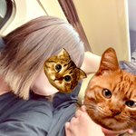 🔥🐱さうにゃこ🐱🔥サウニャー®アンバサダーのツイート画像