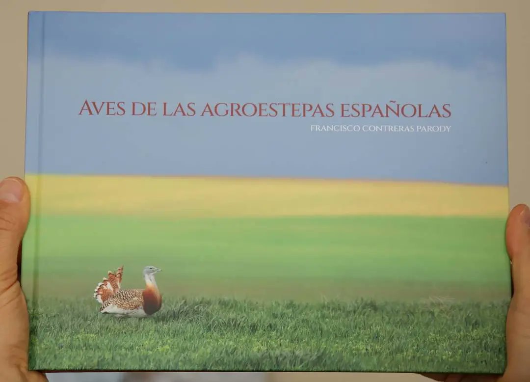 Franlynx1's tweet photo. Hoy estoy feliz por lo que tengo en mis manos.
El fruto de varios años de trabajo de campo, dedicado a la observación y fotografía de las aves esteparias, han visto su culminación en una obra publicada por el Ministerio de Agricultura.
https://t.co/knh4EU1eI6 https://t.co/fKyk2pRv3l