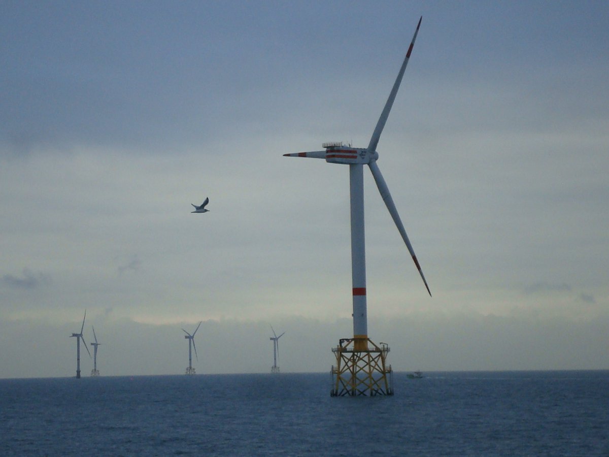 HiDefSurvey's tweet photo. BREAKING: Publication of ‘Aerial photogrammetry of seabirds from digital aerial video images using relative change in size to estimate fight height’. This will allow stakeholders to assess collision risk for the consenting process. https://t.co/bfgOz6umQI https://t.co/6MLcRnoHdl