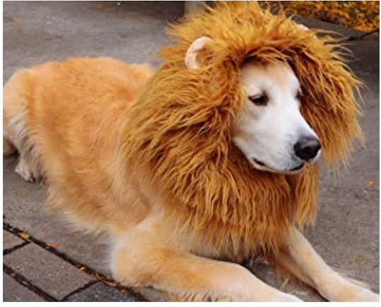 sridhar41035's tweet image. That’s it #PongalWinner Veera SimhaReddy 🦁🔥

VSR                                          WV