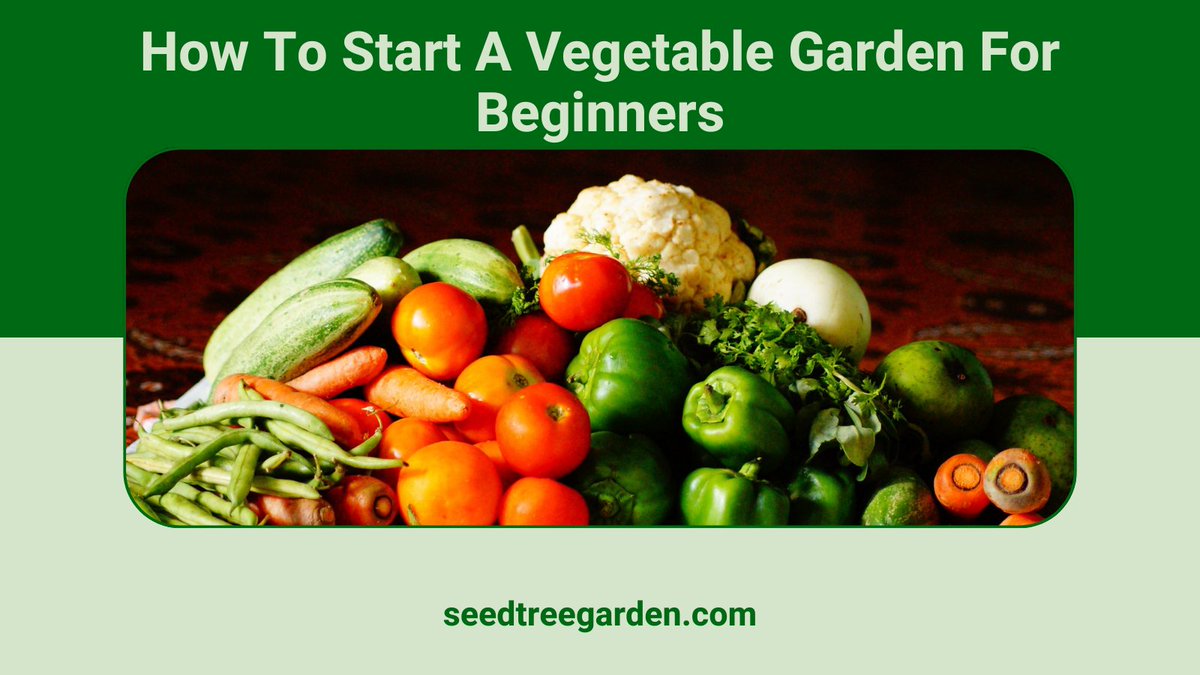 Have you ever wanted to start your own vegetable garden but didn’t know how? This article will give you all the information you need to get started. With a little bit of patience and hard work, you can have a thriving vegetable garden in no time!
seedtreegarden.com/vegetable-herb…
#garden