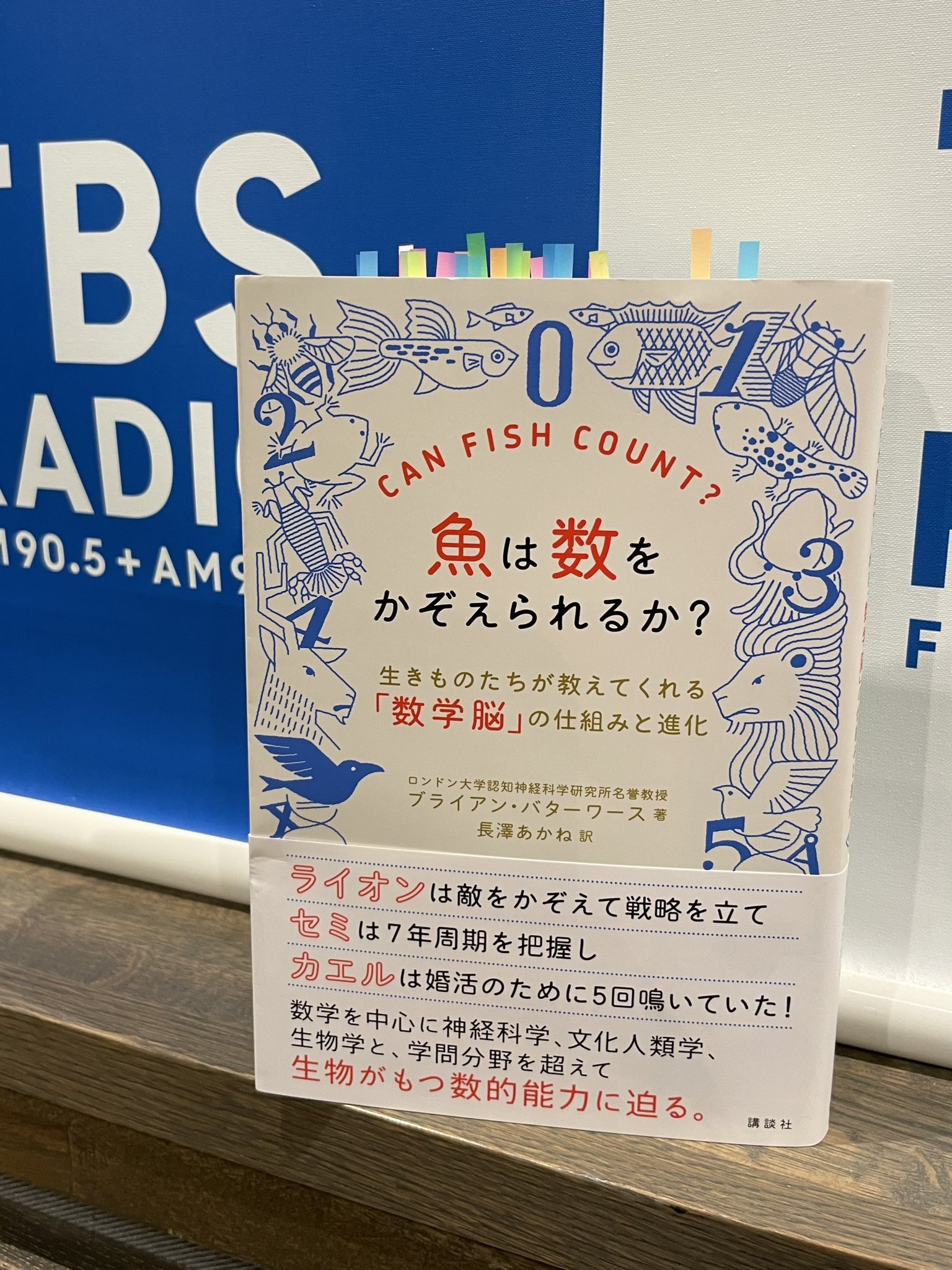 TBSラジオ【アシタノカレッジ】月〜木22時 on Twitter: