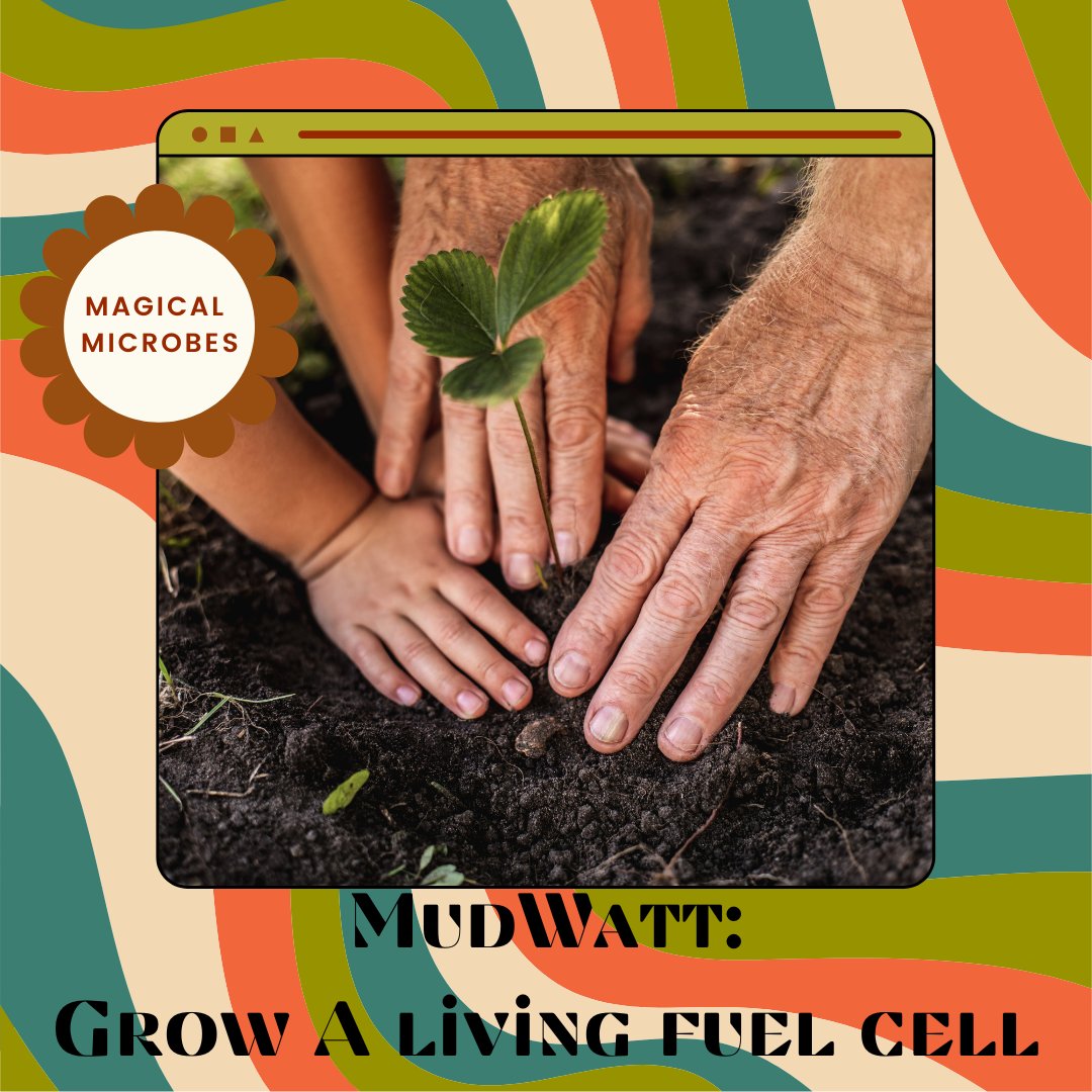 Magical Microbes tweet media