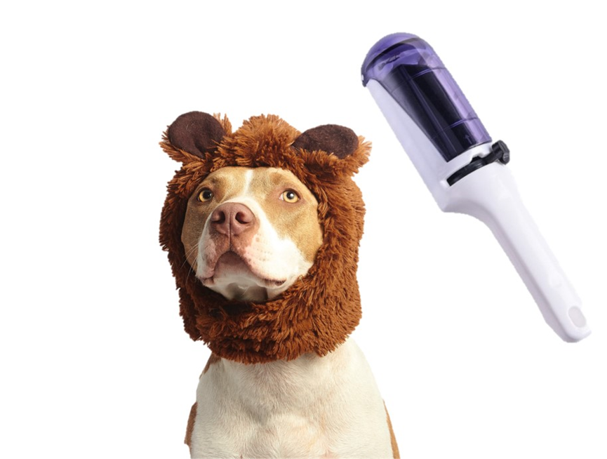 VolcanicMotion's tweet photo. Only US6.98. You will never be harassed by the problem of pet hair everywhere.
 
#PetHairRemover #lintremover #furremover #catclean #selfcleaning #dogclean #cathairremover #petcare

Check this out: https://t.co/ufAq0EtgEo https://t.co/ge5IJ61yHj