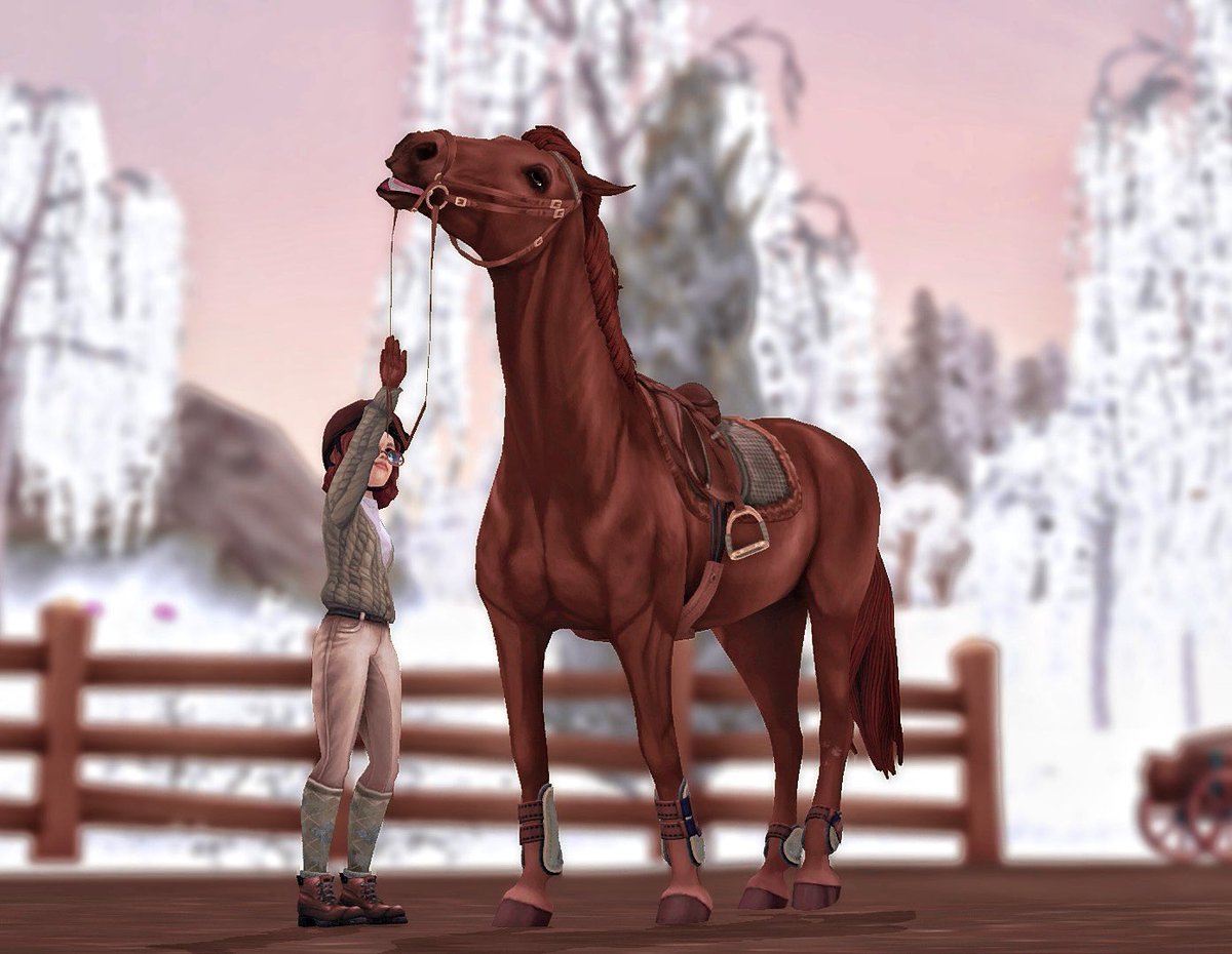 rosefastpaw's tweet photo. I don’t want to let go of the snow! #sso #starstable #starstableonline #SSOWinter @StarStable https://t.co/aDceJMge6O