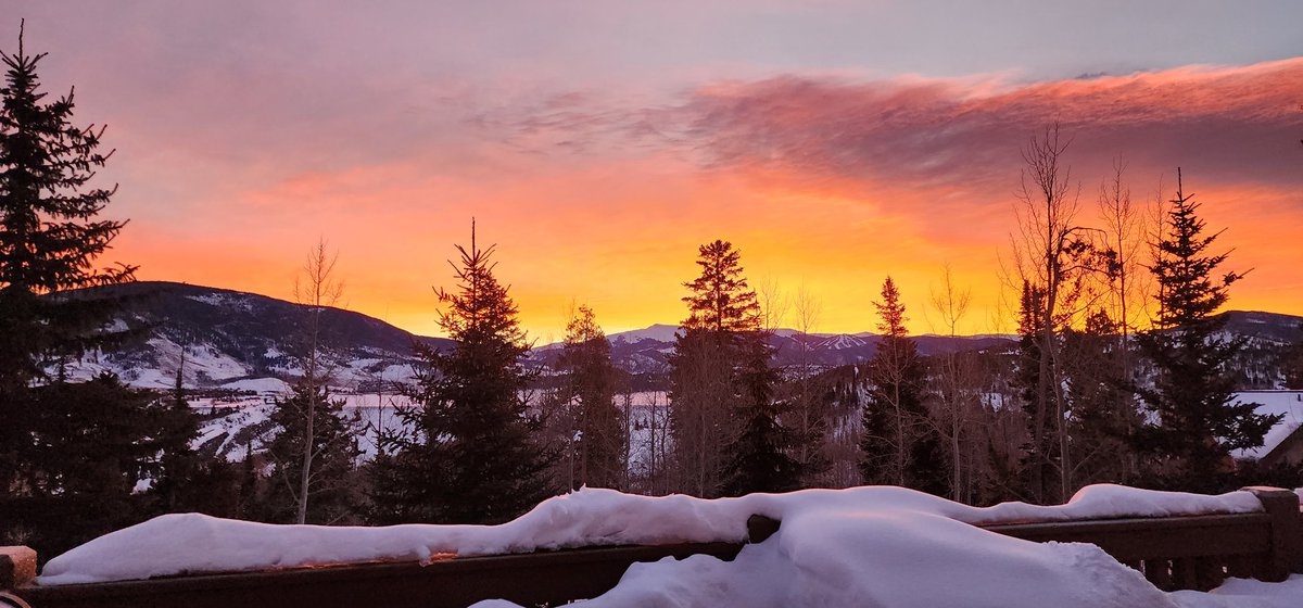 Naomi McMahon tweet media