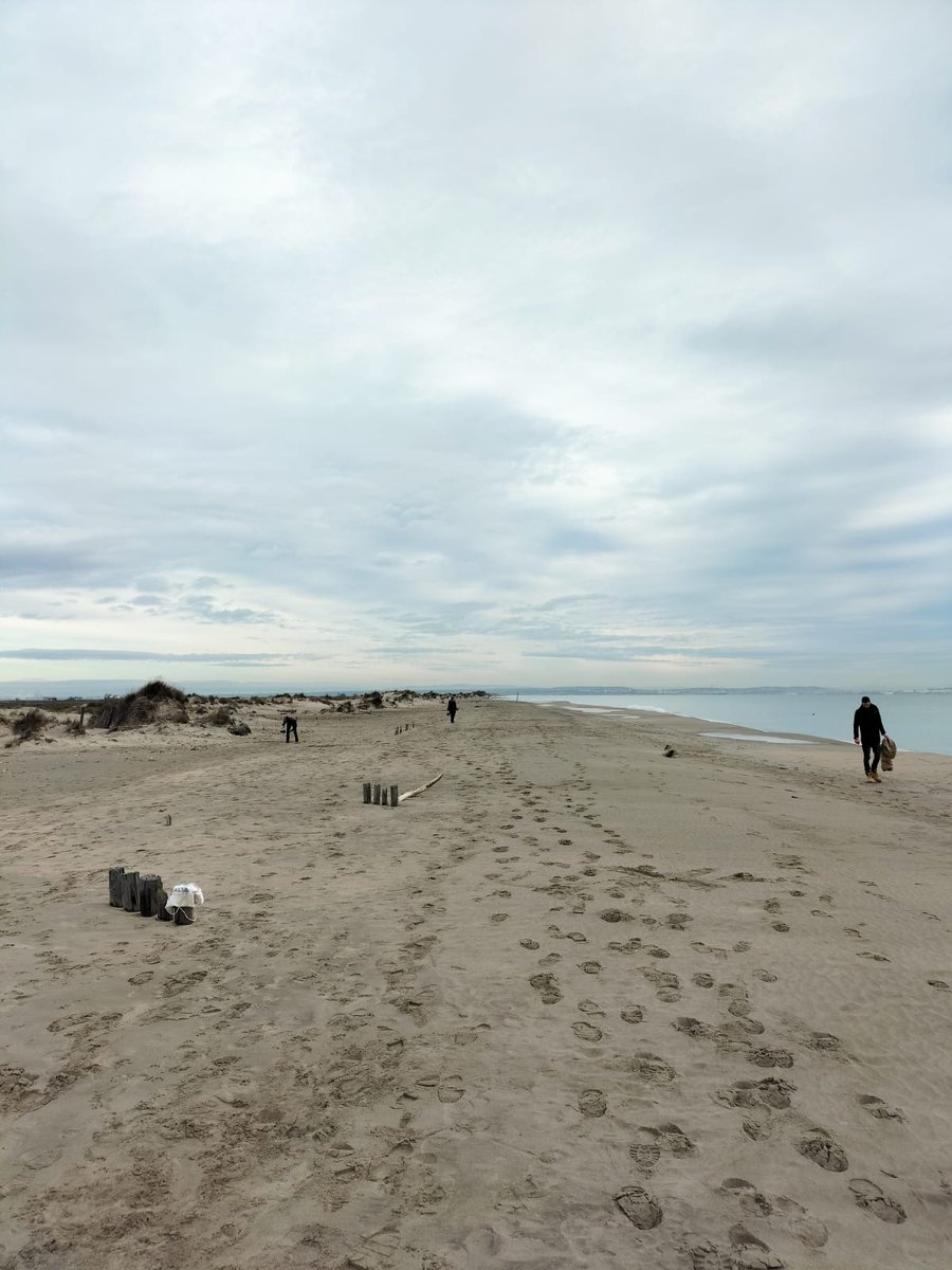 MerTerre13's tweet photo. De retour pour les ramassages de suivi #DCSMM pour 2023 ! Ce matin, nous étions sur la plage Napoléon, à Port-Saint-Louis-du-Rhone en #Camargue 💪 https://t.co/qonstbkds5