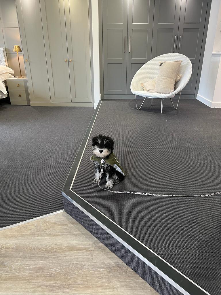 Stan Matthews D S tweet media