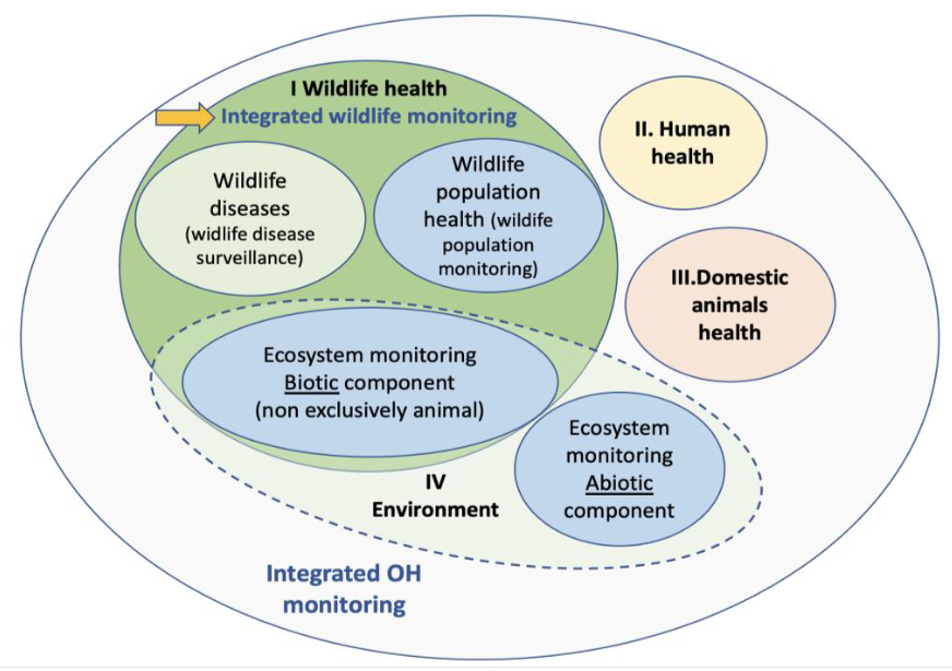 Integrating disease  surveillance  among #wildlife,  #livestock,  #environment under #OneHealth: recommendations and technical specs by <a href="/enetwild/">ENETWILD project</a> funded by <a href="/EFSA_EU/">EFSA</a> in the last report now online bit.ly/3W9giGP