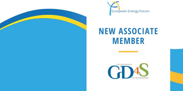 gd4s_eu's tweet photo. We look forward to contributing to the work of @EEF_EnergyForum✅
As a new associate member, we will engage in the transparent exchange of informations &amp; views on all aspects of #energy topics, including #climate and #transport, because open information is key to policymaking👇 https://t.co/apMhnKd3sW