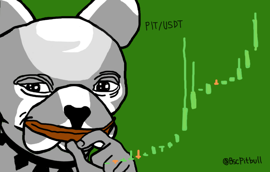 BscPitbull_KR's tweet photo. I feel #PitBullish. 
Join @BscPitbull &amp; buy $PIT / #pitbulltoken right now.  

#crypto 
#meme #memecoin #memetoken
#parody #Pepe #PepeTheFrog 
The next #DOGE #SHIB 
#Pump https://t.co/LDL2AsugUg