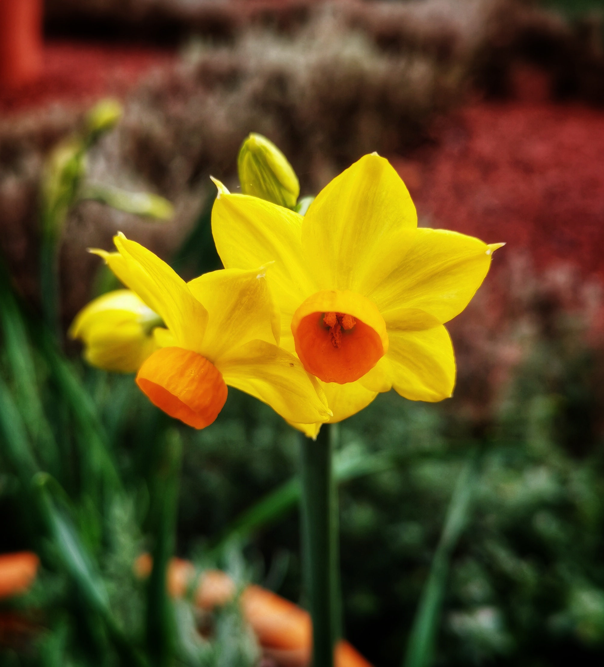 Museum of the Home (MuseumoftheHome) / Twitter