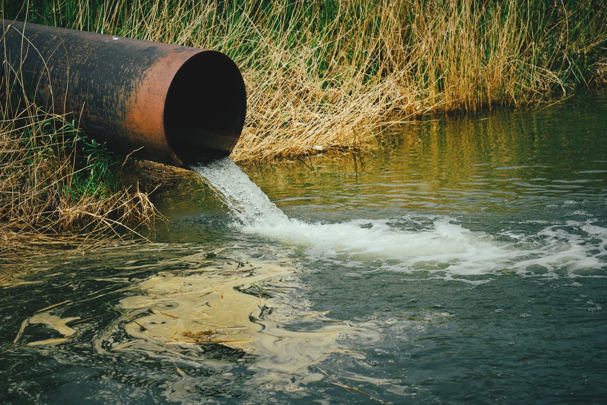 ActionWisley's tweet photo. "The existing water infrastructure would not be able to cope" - @thameswater 

Waterways will be contaminated and sewage will flow into the water systems if the development is allowed to go ahead, causing damage to health and the environment.

@VawntWisley https://t.co/efaZuRqlUV