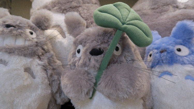 hozi015's tweet image. ✿