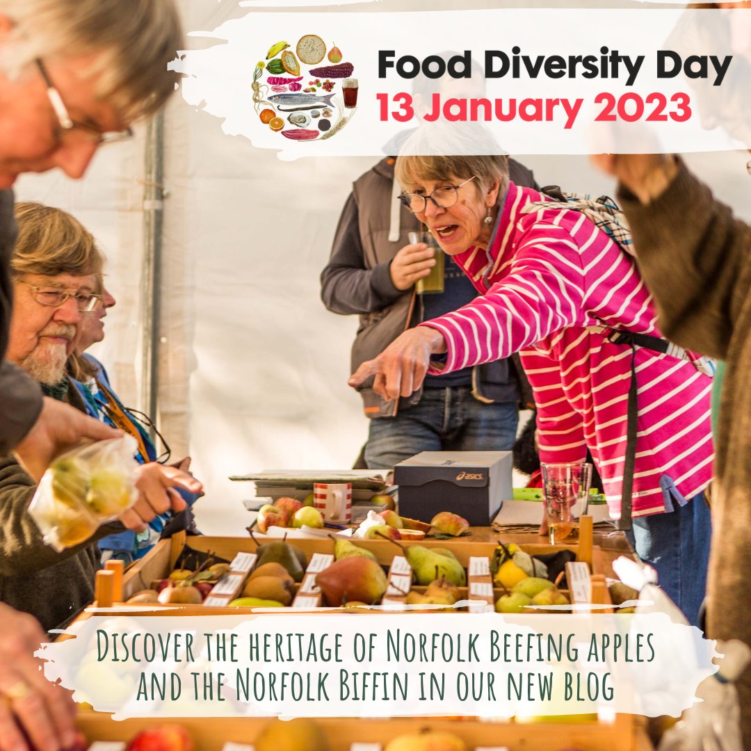 Food Museum tweet media