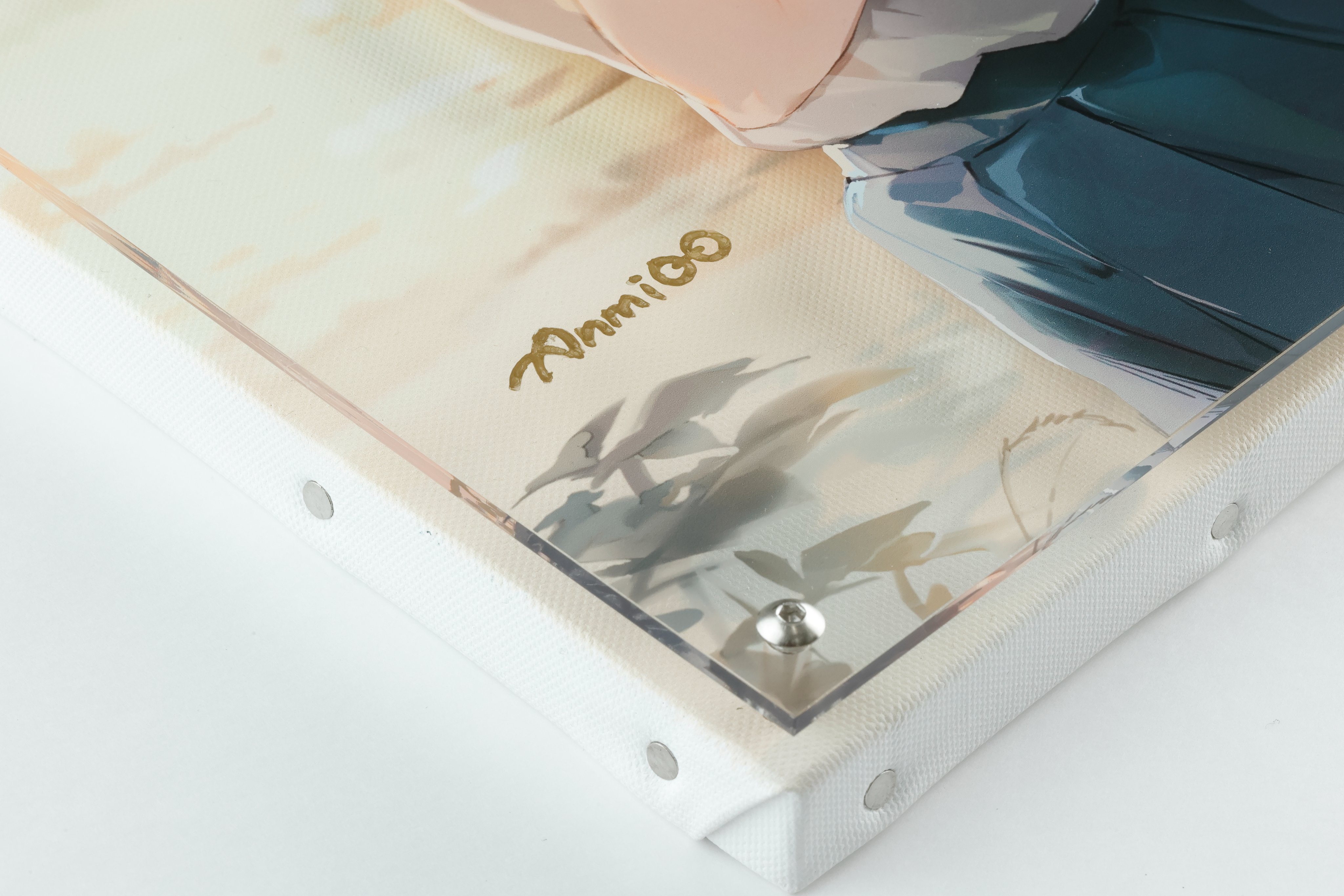 anmi 