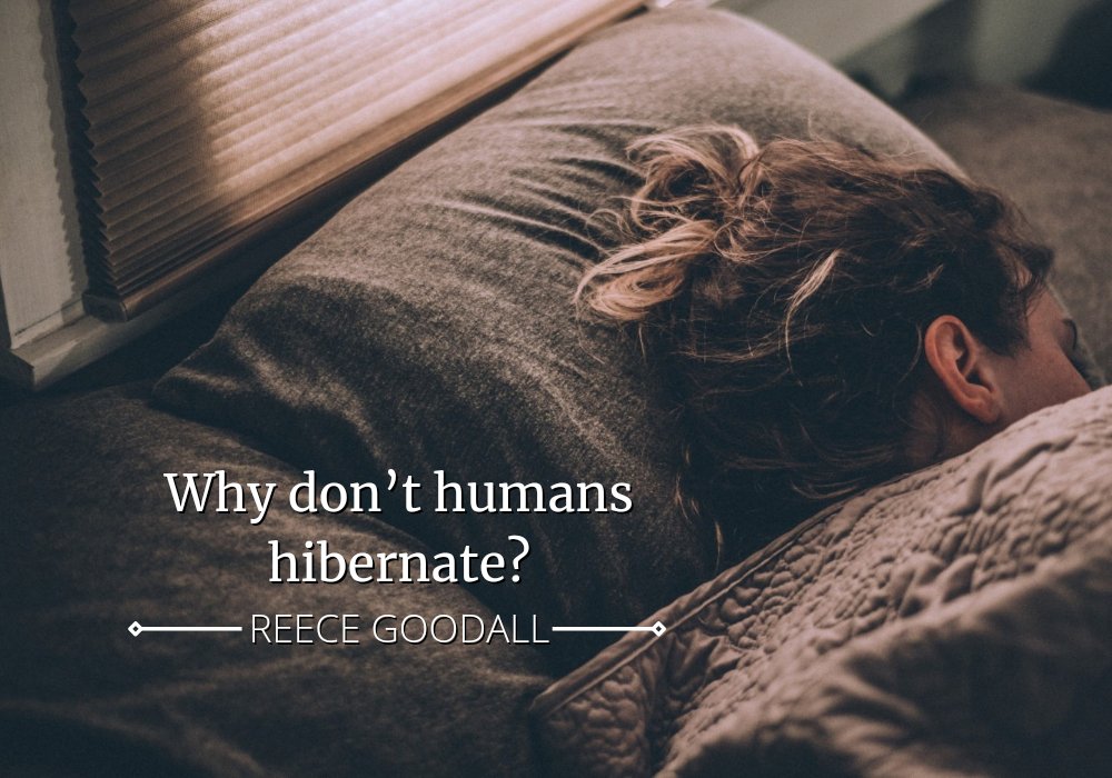 Boar SciTech tweet media