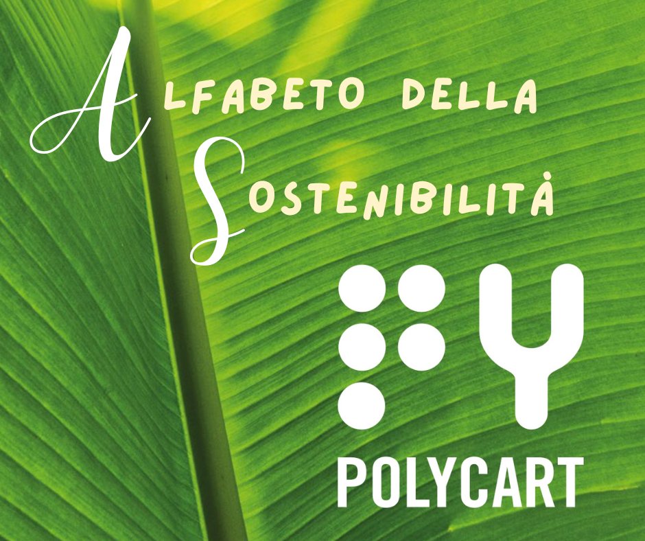 📖🌱La #Sostenibilità per Polycart, dalla A alla Zeta!
📸Sfoglia la gallery fotografica per rivedere o scoprire le parole che abbiamo inserito nel nostro #Alfabeto della Sostenibilità.
👉🏻Clicca sul link: facebook.com/media/set/?set…
#AlfabetoDellaSostenibilità #Polycart #IOPENSOBIO 💚
